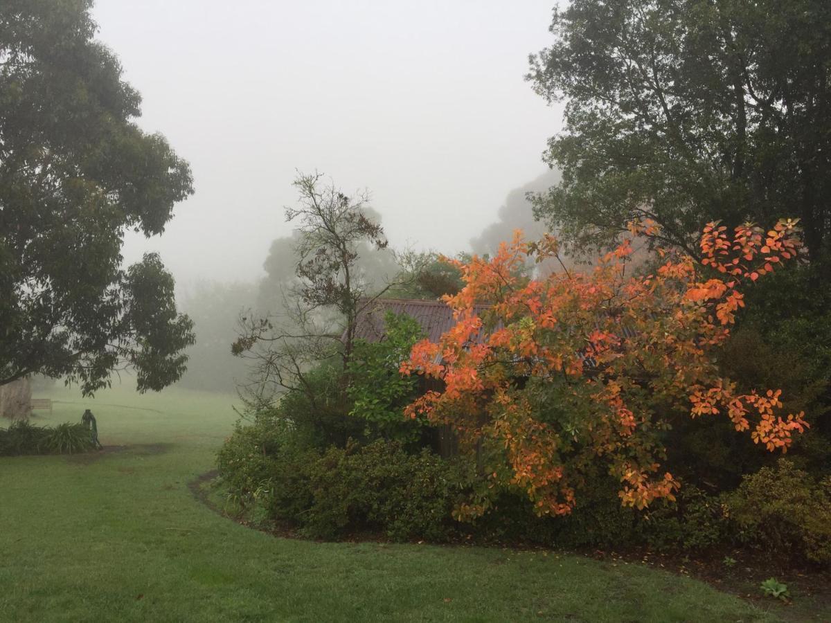 Brigadoon Cottages Haunted Hills Bagian luar foto