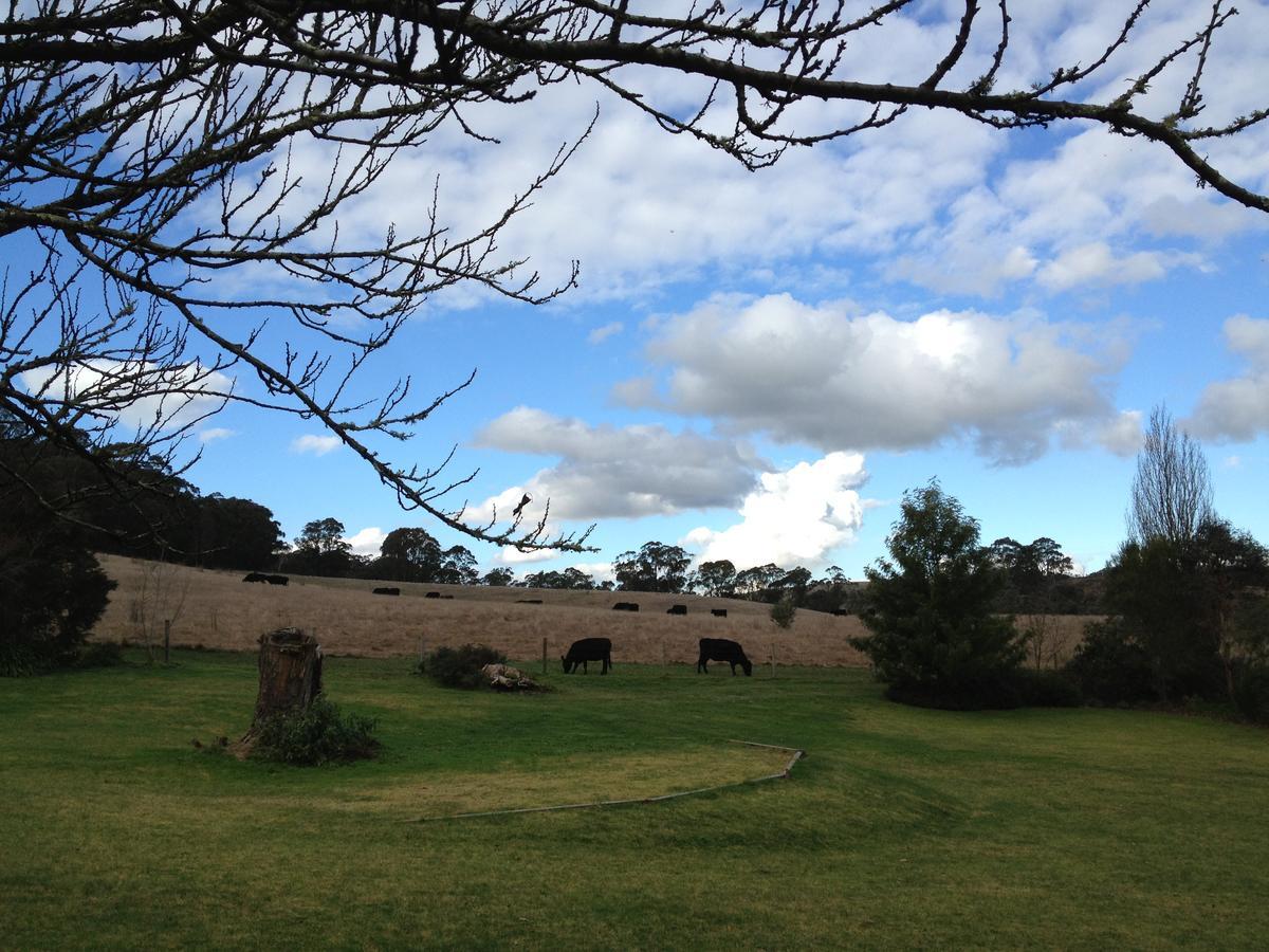 Brigadoon Cottages Haunted Hills Bagian luar foto