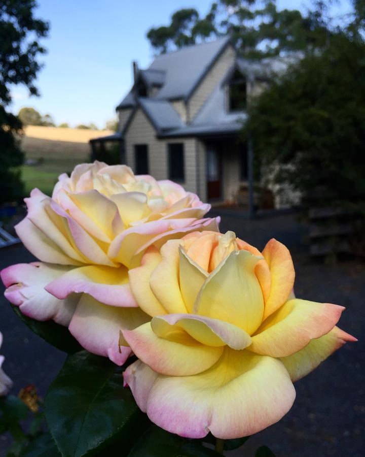 Brigadoon Cottages Haunted Hills Bagian luar foto