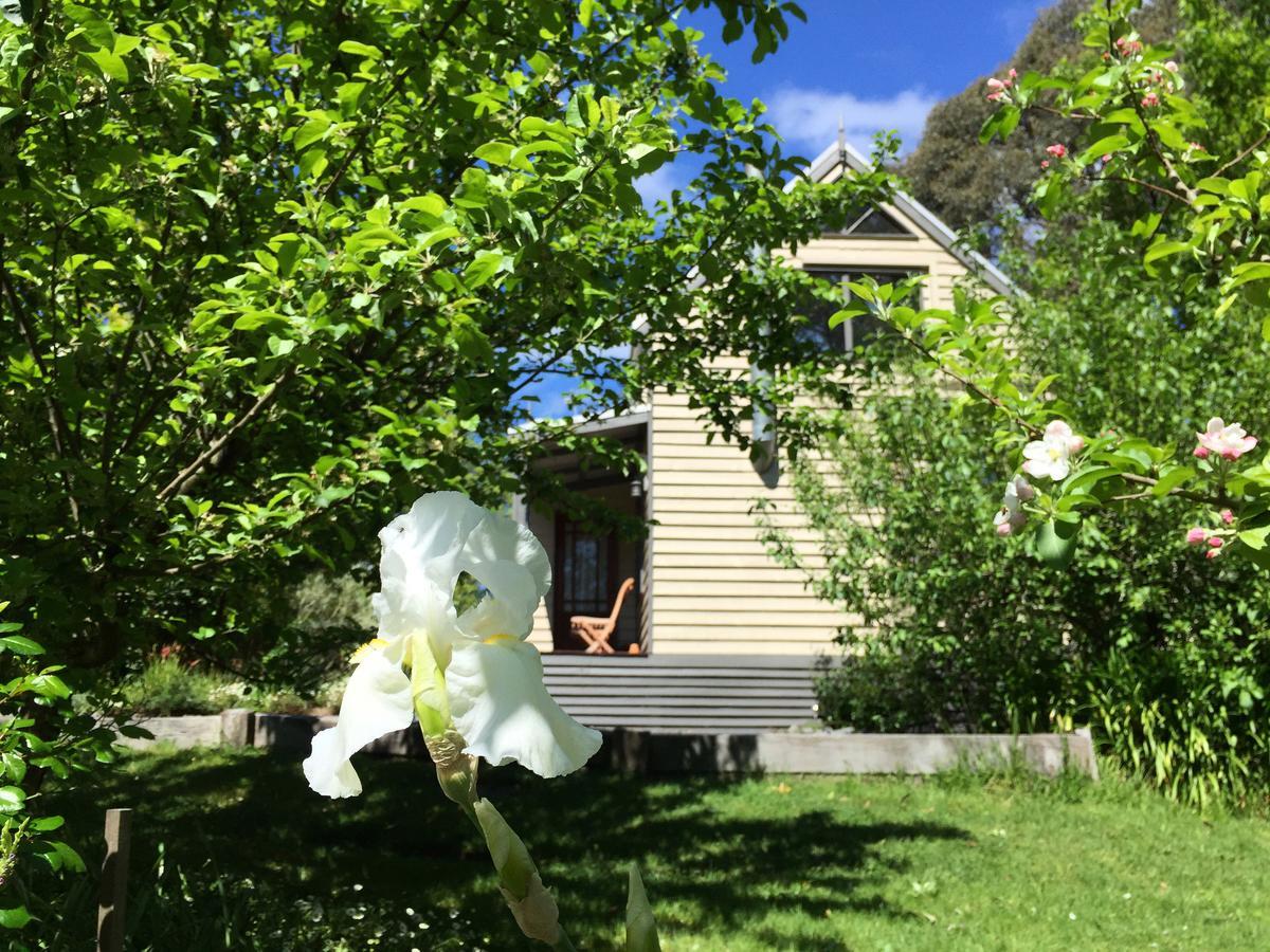 Brigadoon Cottages Haunted Hills Bagian luar foto